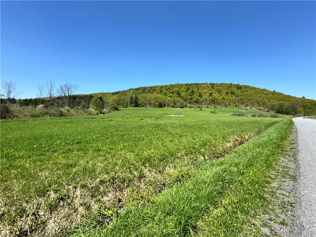 $85,000 | 463 Cemetery Road, Seward, NY 12043