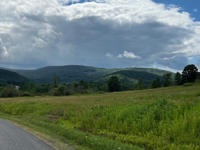 463 Cemetery Road Seward, NY 12043 - Photo 4 of 12