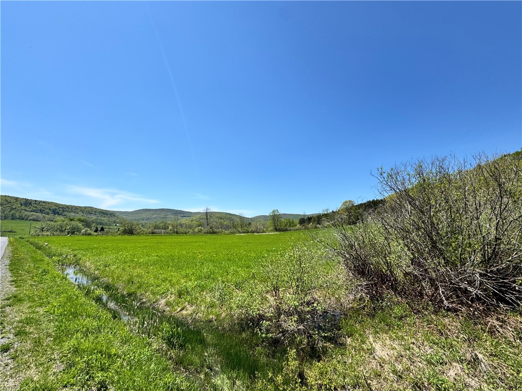 463 Cemetery Road Seward, NY 12043 - Photo 5 of 10