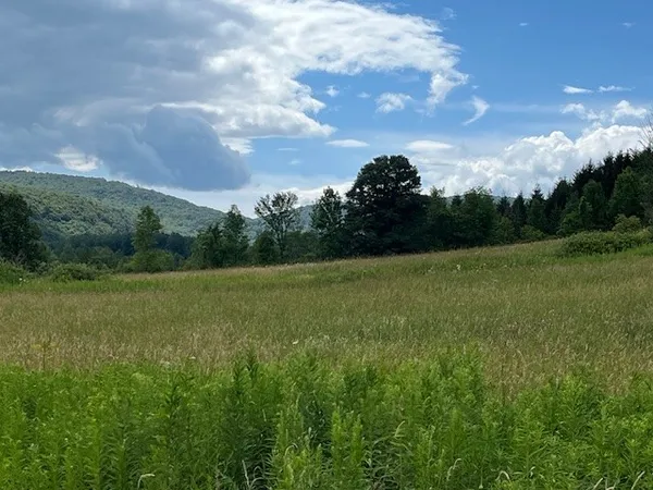 $85,000 | 463 Cemetery Road, Seward, NY 12043