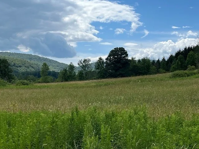 $85,000 | 463 Cemetery Road, Seward, NY 12043