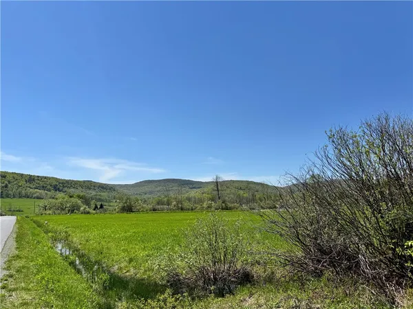 $85,000 | 463 Cemetery Road, Seward, NY 12043