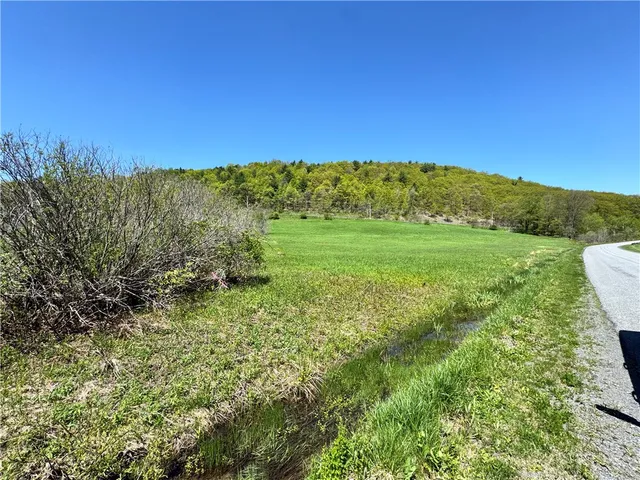 $85,000 | 463 Cemetery Road, Seward, NY 12043