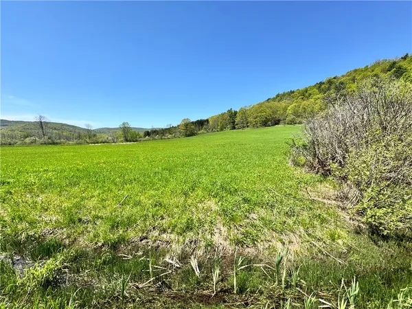 $85,000 | 463 Cemetery Road, Seward, NY 12043