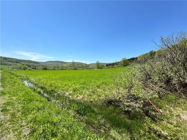 $85,000 | 463 Cemetery Road, Seward, NY 12043