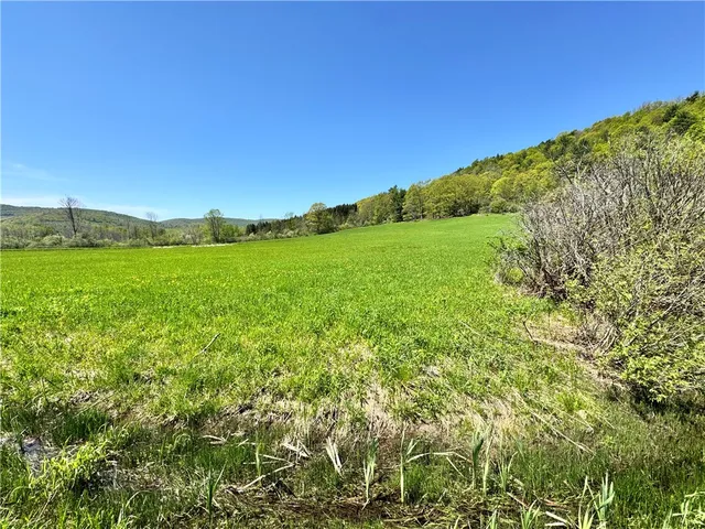 $85,000 | 463 Cemetery Road, Seward, NY 12043