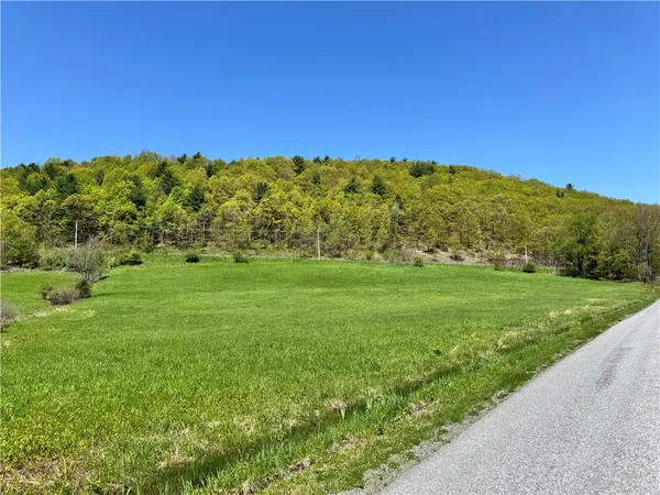 $85,000 | 463 Cemetery Road, Seward, NY 12043