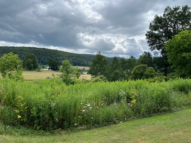 463 Cemetery Road Seward, NY 12043 - Photo 10 of 12 view across the street