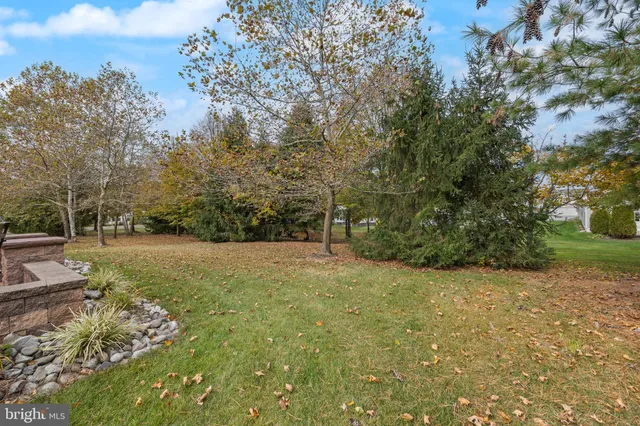 a view of a yard with a tree