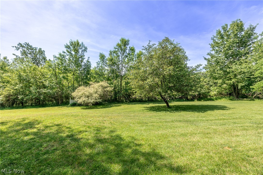 10614 Jones Road Litchfield, OH 44253 - Photo 30 of 50
