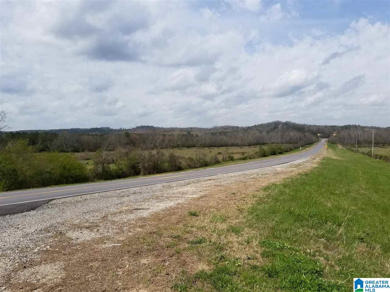 26 County Road Ashville, AL 35953 - Photo 4 of 6