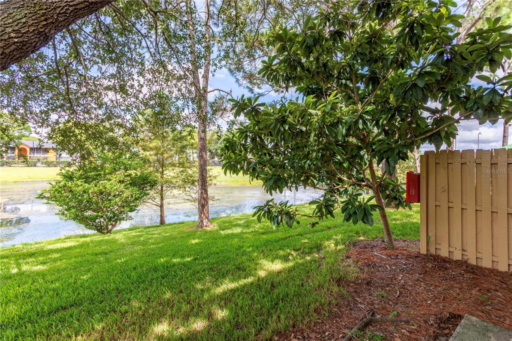 4428 Middlebrook Road, Unit 4 Orlando, FL 32811 - Photo 23 of 28 a view of backyard with tree