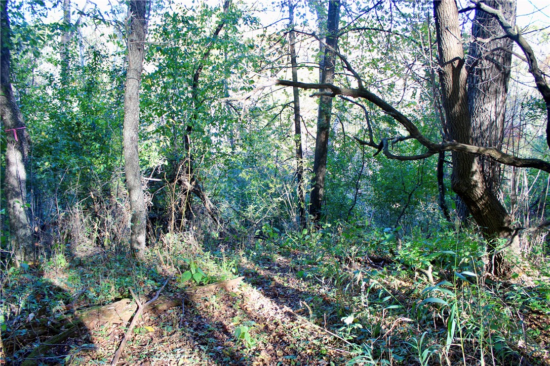 0 South Lowes Creek Road Eau Claire, WI 54701 - Photo 26 of 59