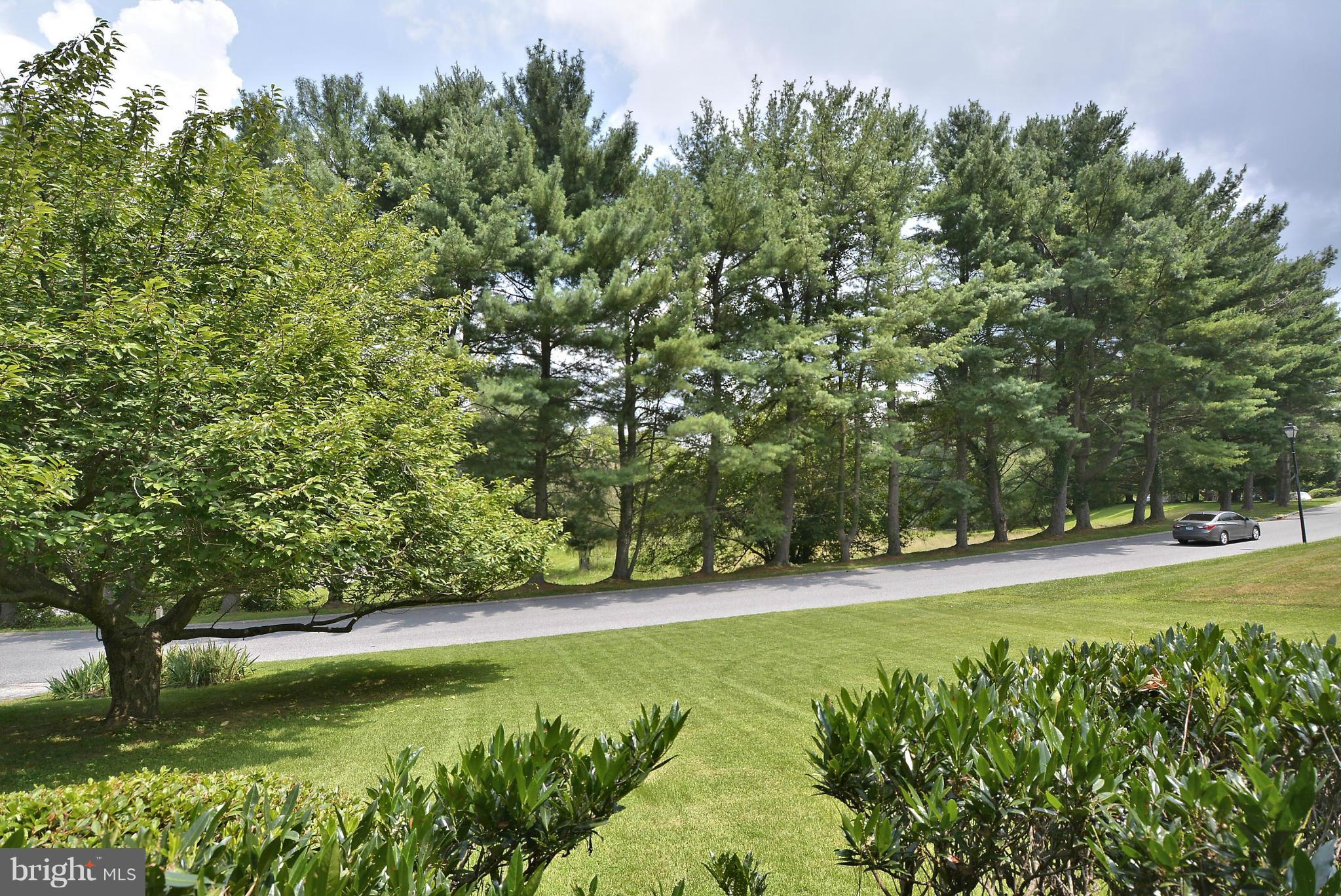 9014 Pittsfield Road Baltimore, MD 21208 - Photo 5 of 30 View From Front Porch