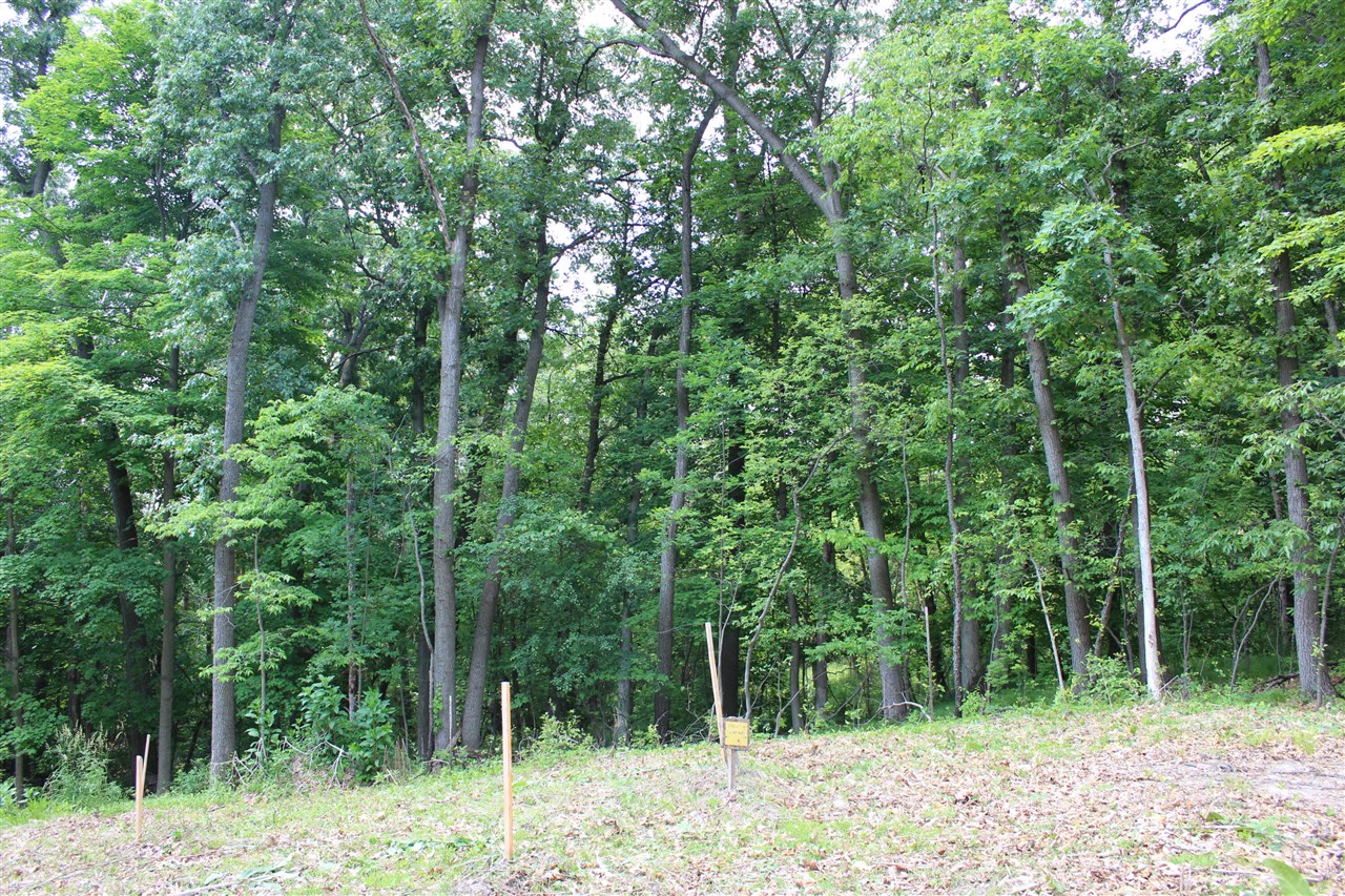 357 East North Street Portland, MI 48875 - Photo 17 of 32