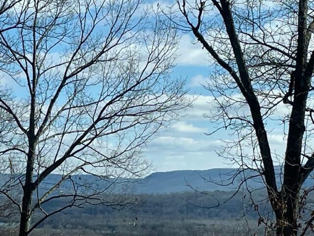 280 Red Bud Trail Kimball, TN 37347 - Photo 27 of 36 IMG_3202