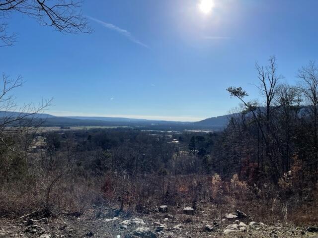 280 Red Bud Trail Kimball, TN 37347 - Photo 33 of 36 280 Redbud 35