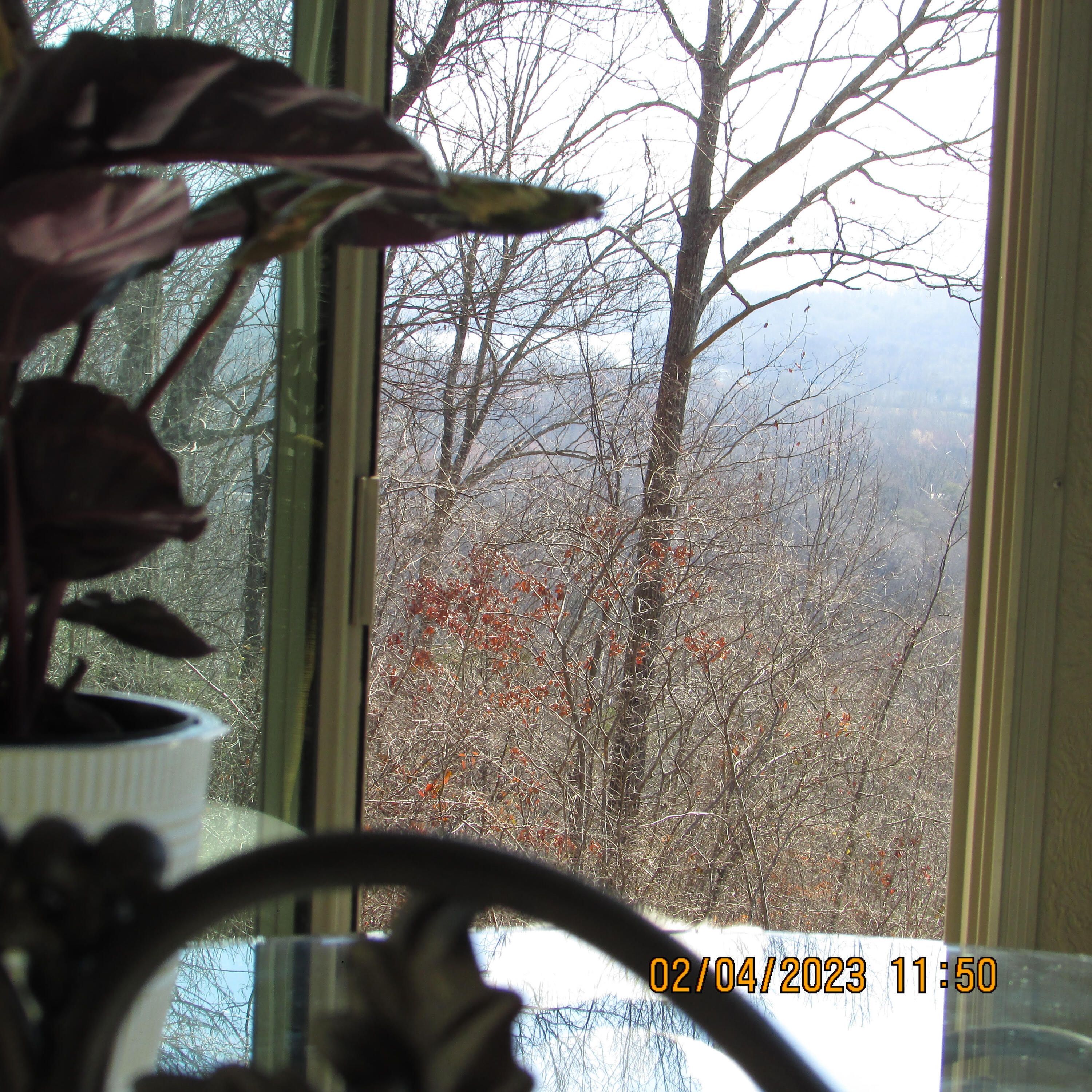 280 Red Bud Trail Kimball, TN 37347 - Photo 34 of 36 280 Redbud 40