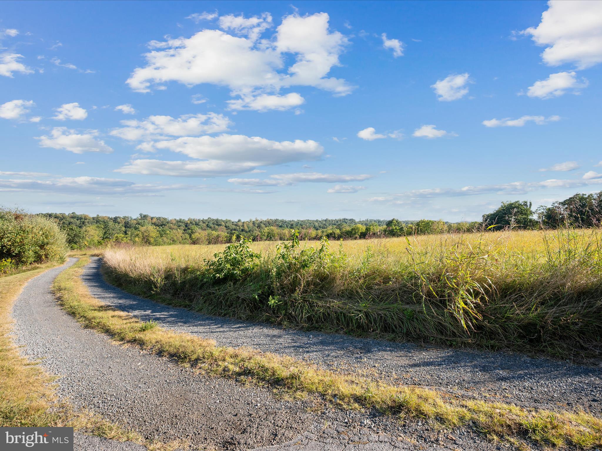Ridge Hollow Road Edinburg, VA 22824 - Photo 5 of 17 a view of a lake with a yard