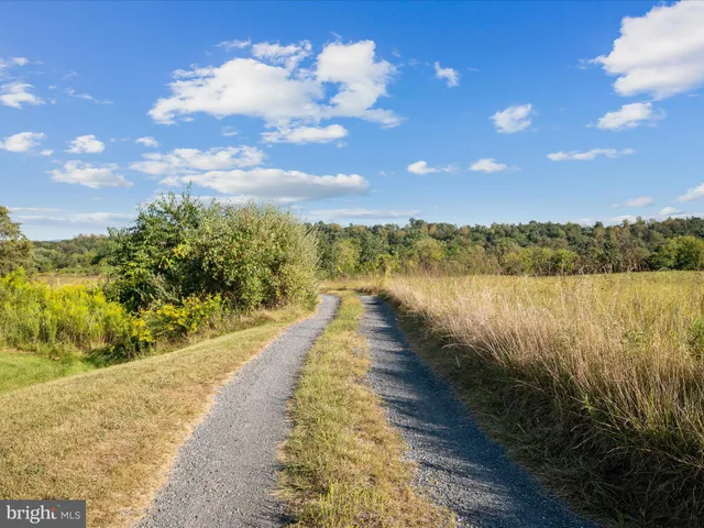 a view of a lake from a yard