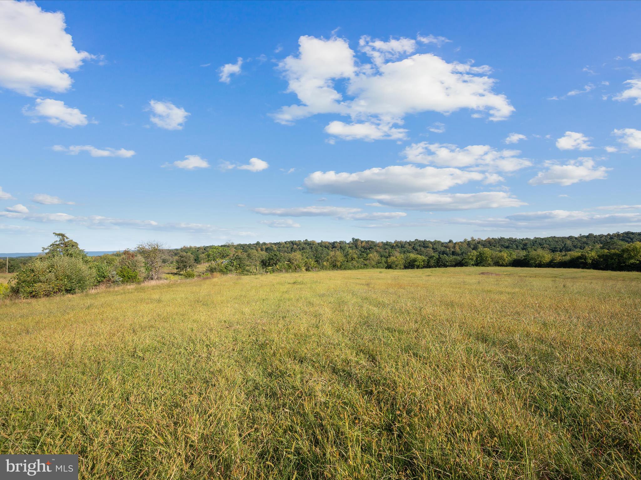Ridge Hollow Road Edinburg, VA 22824 - Photo 8 of 17 a view of an ocean and a mountain