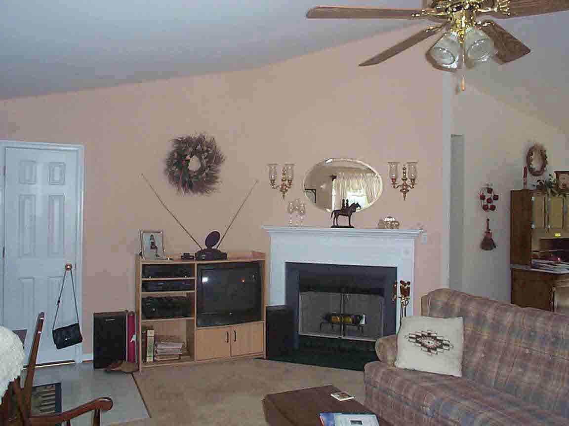 262 Petunia Road Ruckersville, VA 22968 - Photo 3 of 3 a living room with furniture and a fireplace