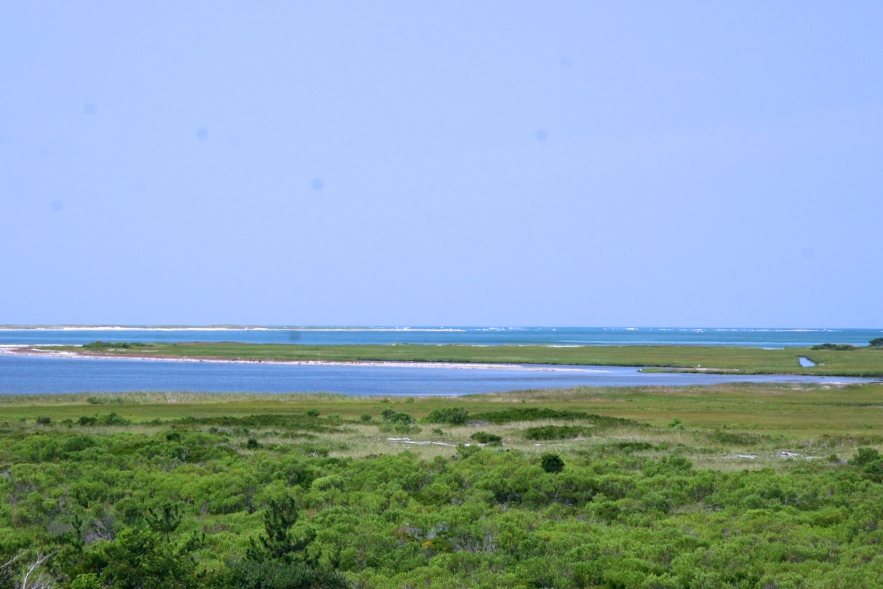 181 Eel Point Road Nantucket, MA 02554 - Photo 7 of 21 Gallery Image 7
