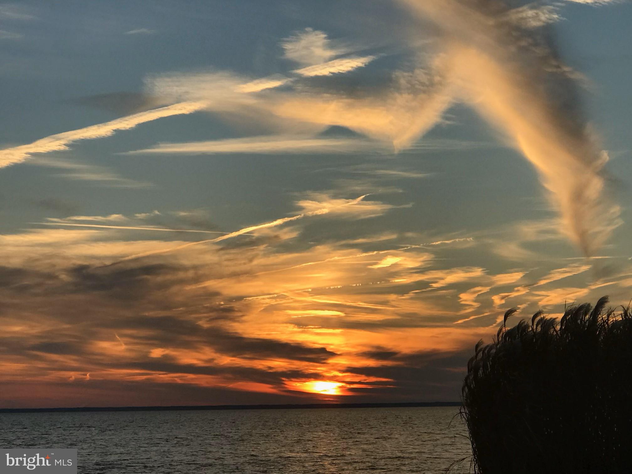 1226 Horse Point Road Fishing Creek, MD 21634 - Photo 5 of 75