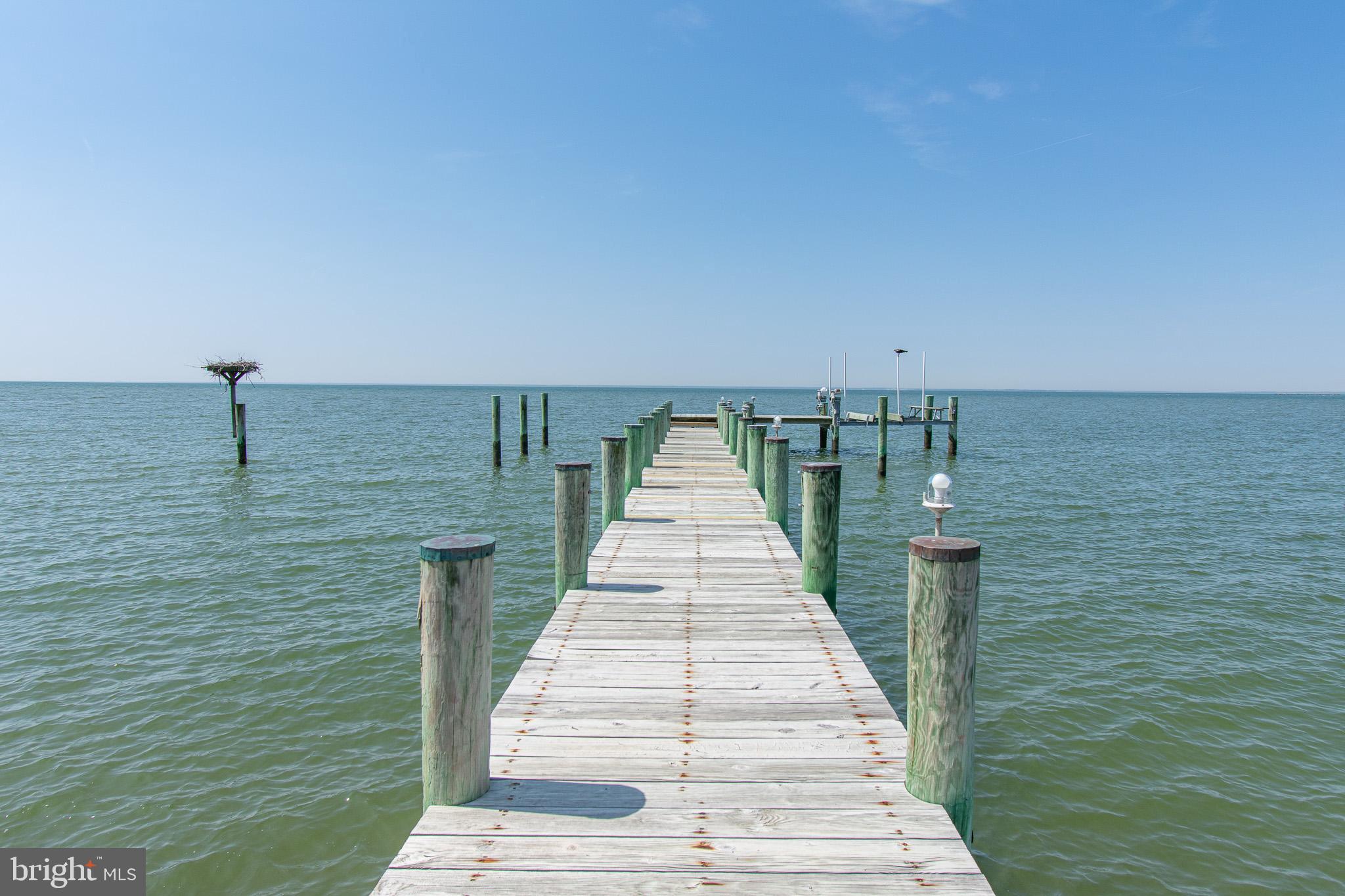 1226 Horse Point Road Fishing Creek, MD 21634 - Photo 53 of 75