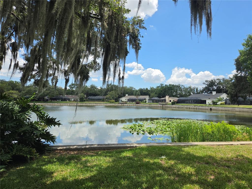 1711 Magdalene Manor Drive Tampa, FL 33613 - Photo 10 of 88