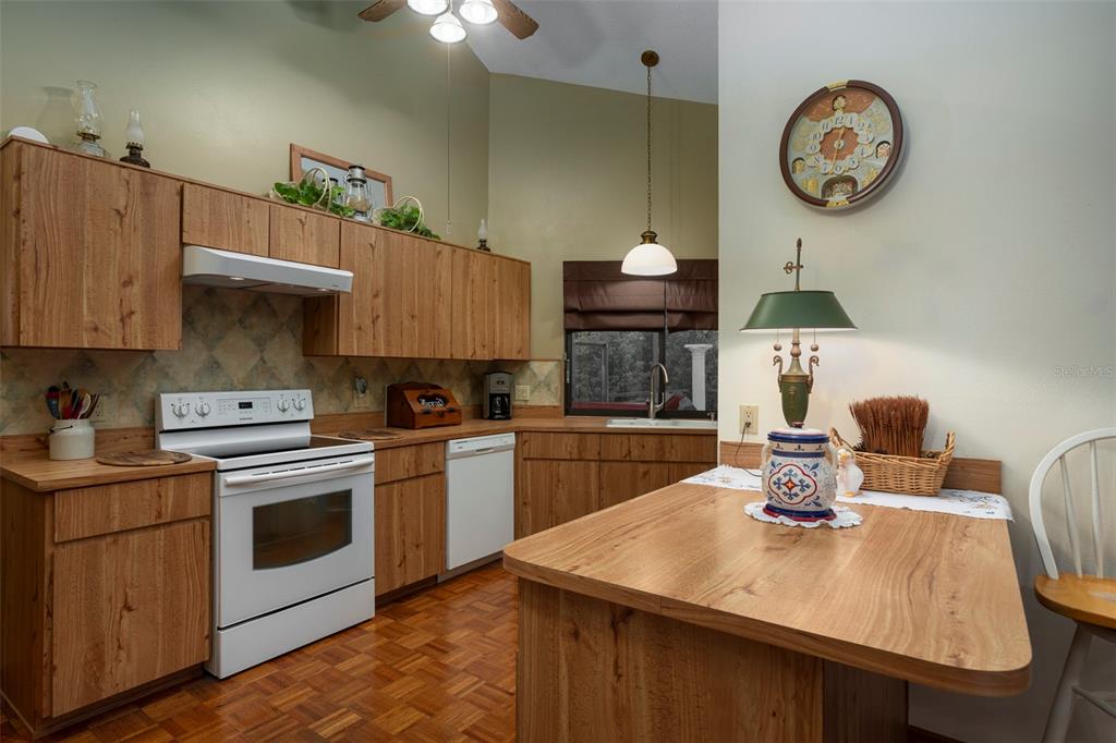 1237 Littlefield Drive New Port Richey, FL 34655 - Photo 10 of 70 Gallery Image 10