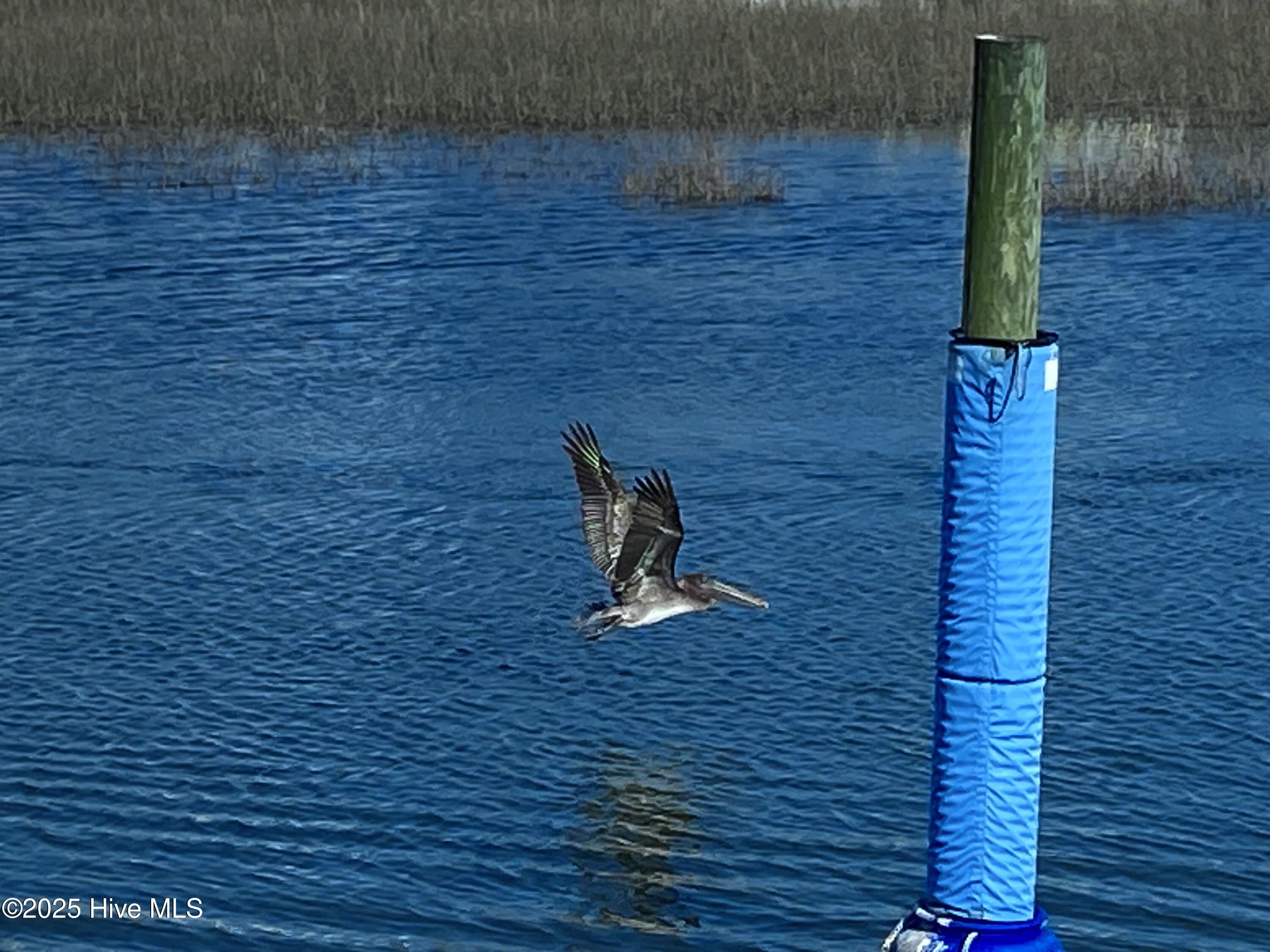 1211 Windy Grove Lane Ocean Isle Beach, NC 28469 - Photo 43 of 49 Beach pic 5