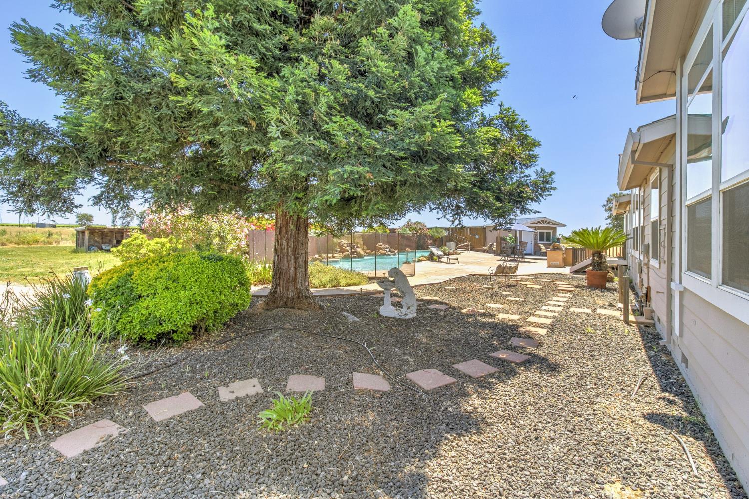 12390 Hobday Road Wilton, CA 95693 - Photo 45 of 92 a view of a yard with plants and large trees