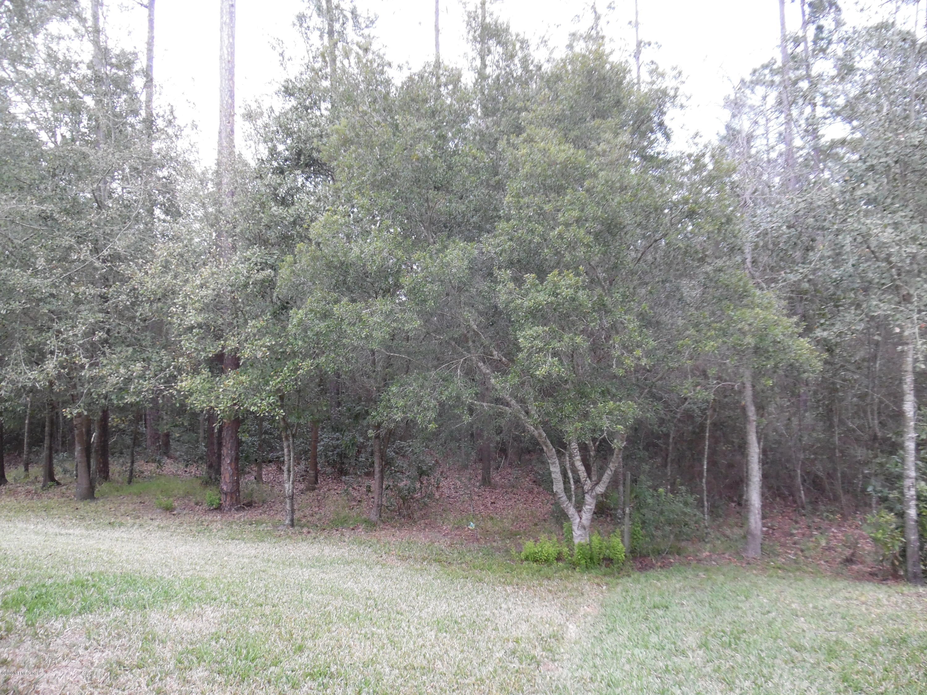 3921 Trail Ridge Road Middleburg, FL 32068 - Photo 25 of 29 SAM_2547