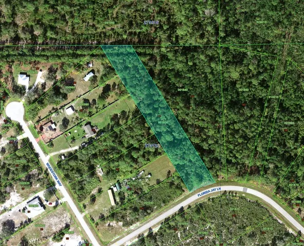 $66,999 | Tbd Florida Jay Lane, Frostproof, FL 33843