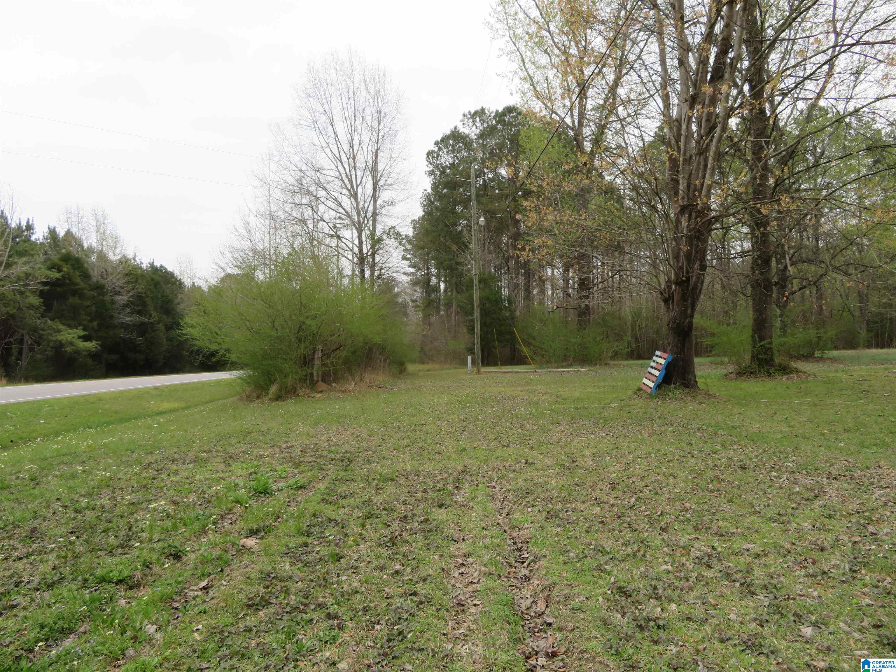 4100 Montevallo Road Centreville, AL 35042 - Photo 7 of 24