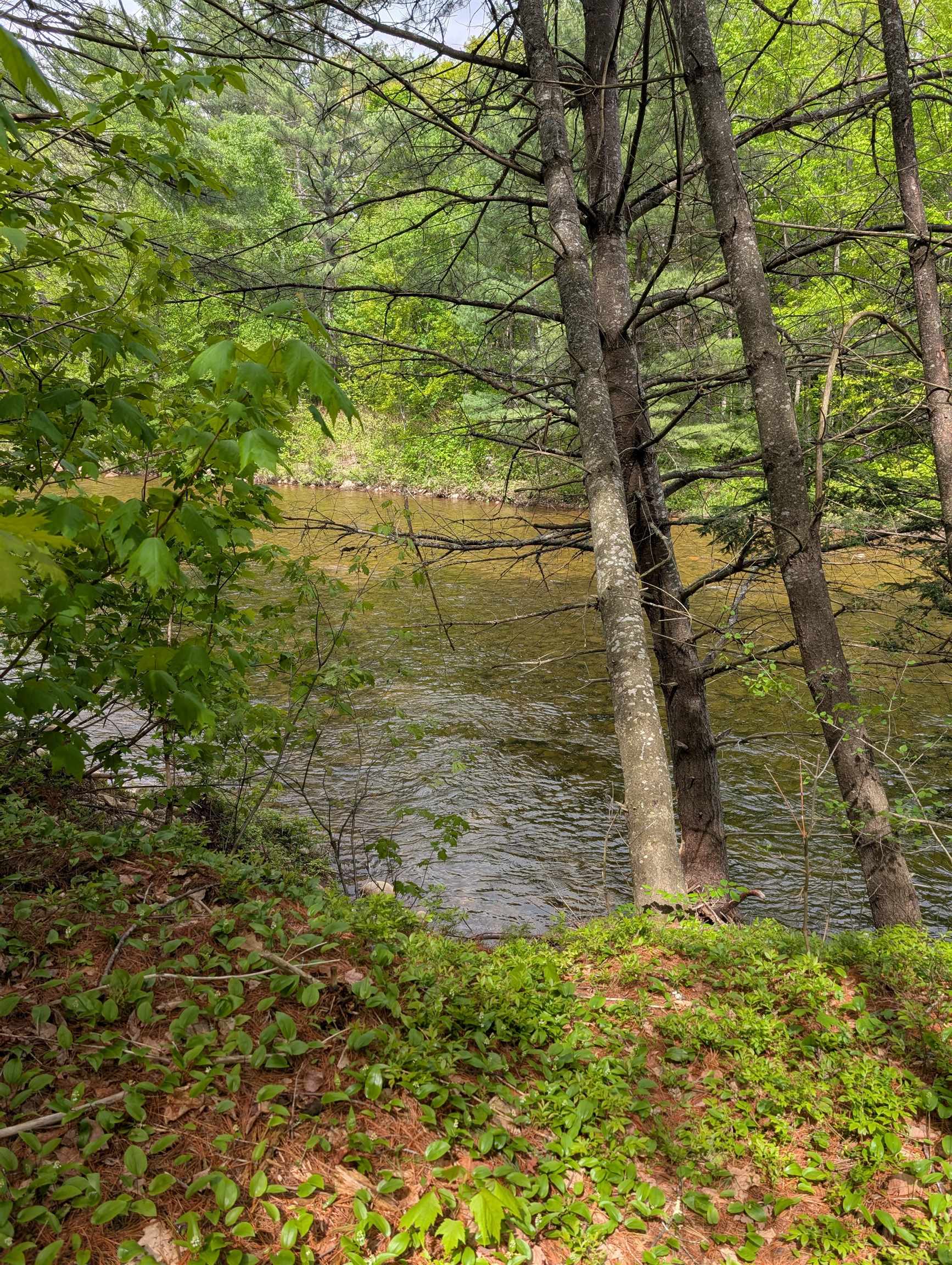 281 Six Flags Road Campton, NH 03223 - Photo 26 of 28