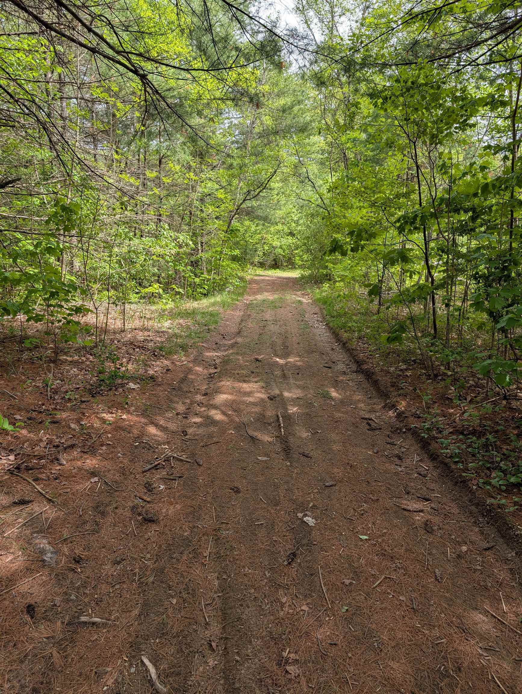 281 Six Flags Road Campton, NH 03223 - Photo 27 of 28