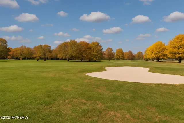a view of a tennis ground with large trees