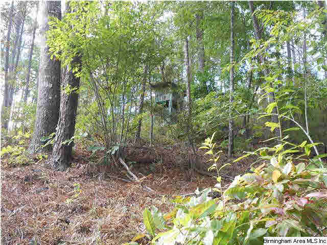 Meherg Road, Unit 28 Rockford, AL 35136 - Photo 23 of 25