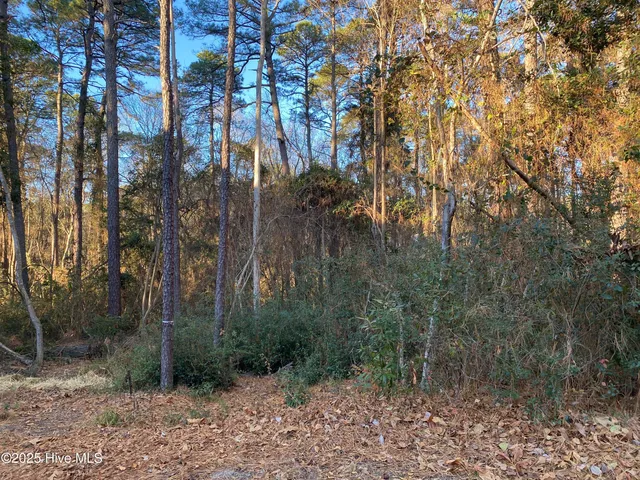 $39,900 | 4 Belmont Court, Pinehurst, NC 28374