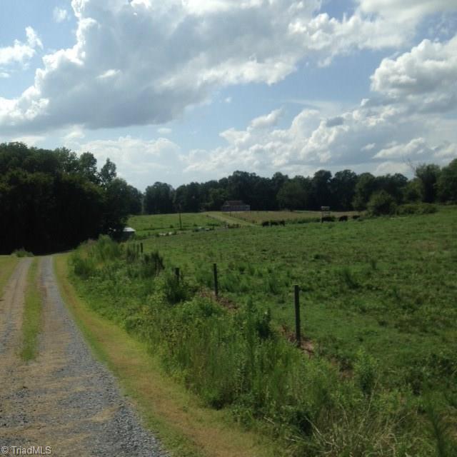 5793 Billy Brady Road Bennett, NC 27208 - Photo 22 of 22