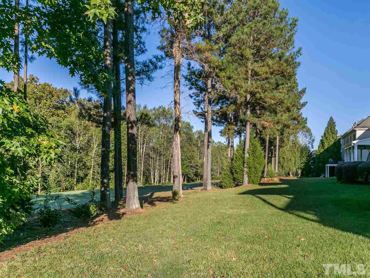 12225 Beestone Lane Raleigh, NC 27614 - Photo 23 of 25 a view of a park with palm trees
