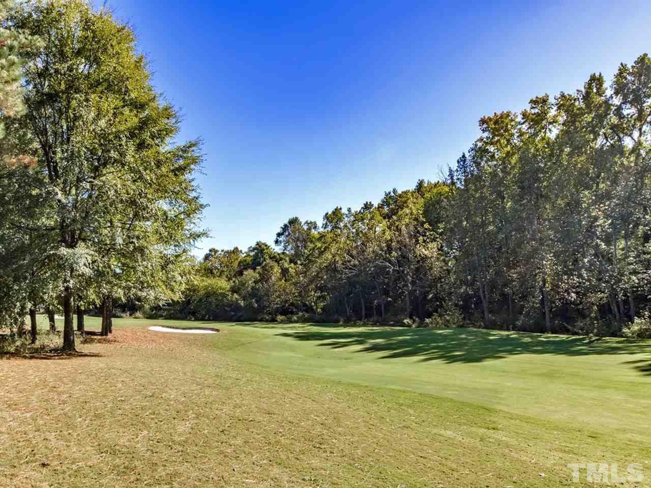 12225 Beestone Lane Raleigh, NC 27614 - Photo 24 of 25 a view of swimming pool and trees in the background