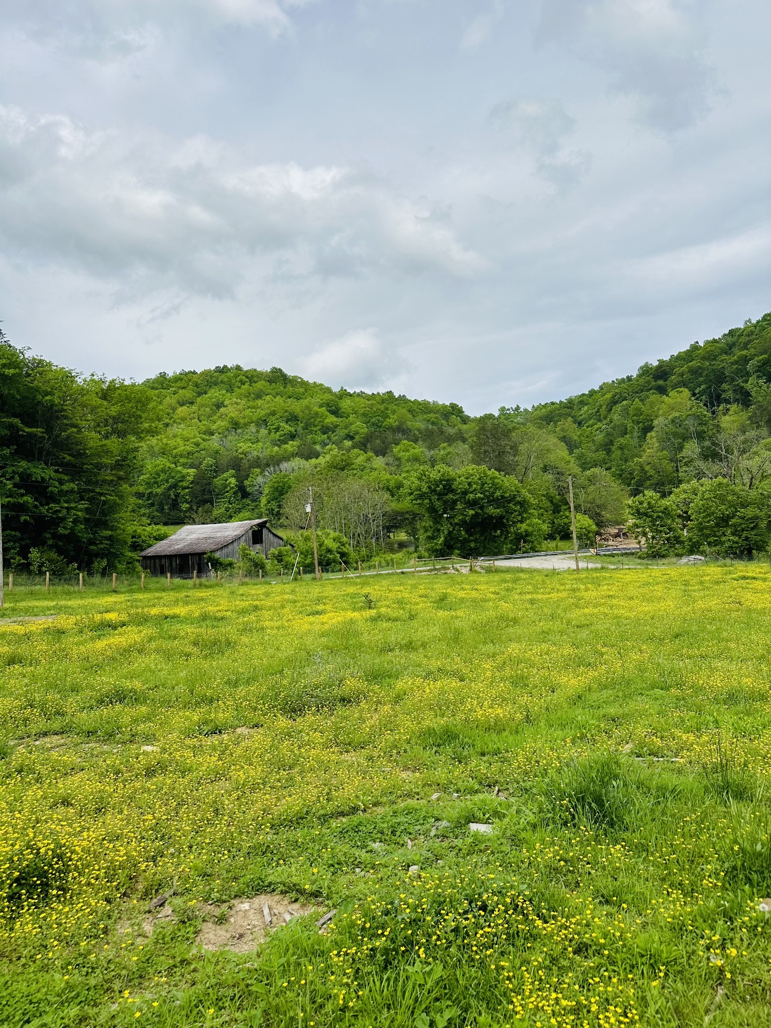 1611 Knob Creek Road Celina, TN 38551 - Photo 48 of 48