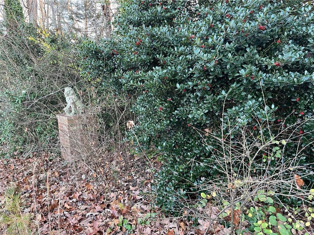 0 Vienna Dozier Road Pfafftown, NC 27040 - Photo 2 of 4