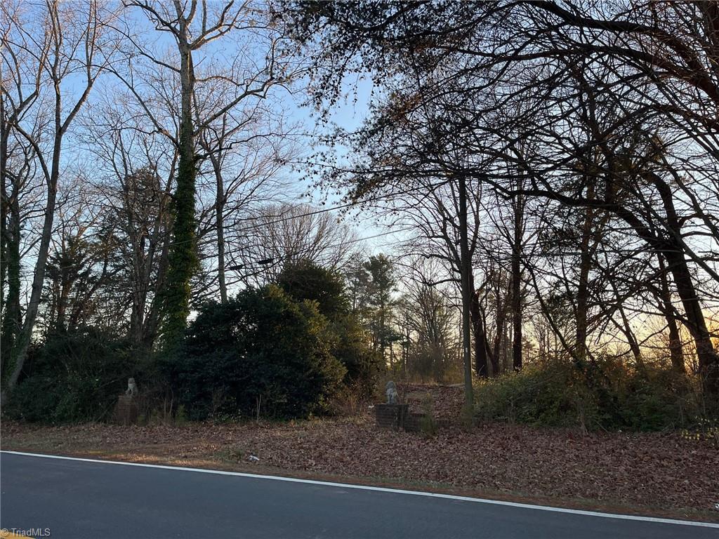 0 Vienna Dozier Road Pfafftown, NC 27040 - Photo 3 of 4