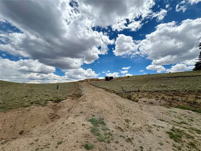 a view of a dry yard with wooden fence