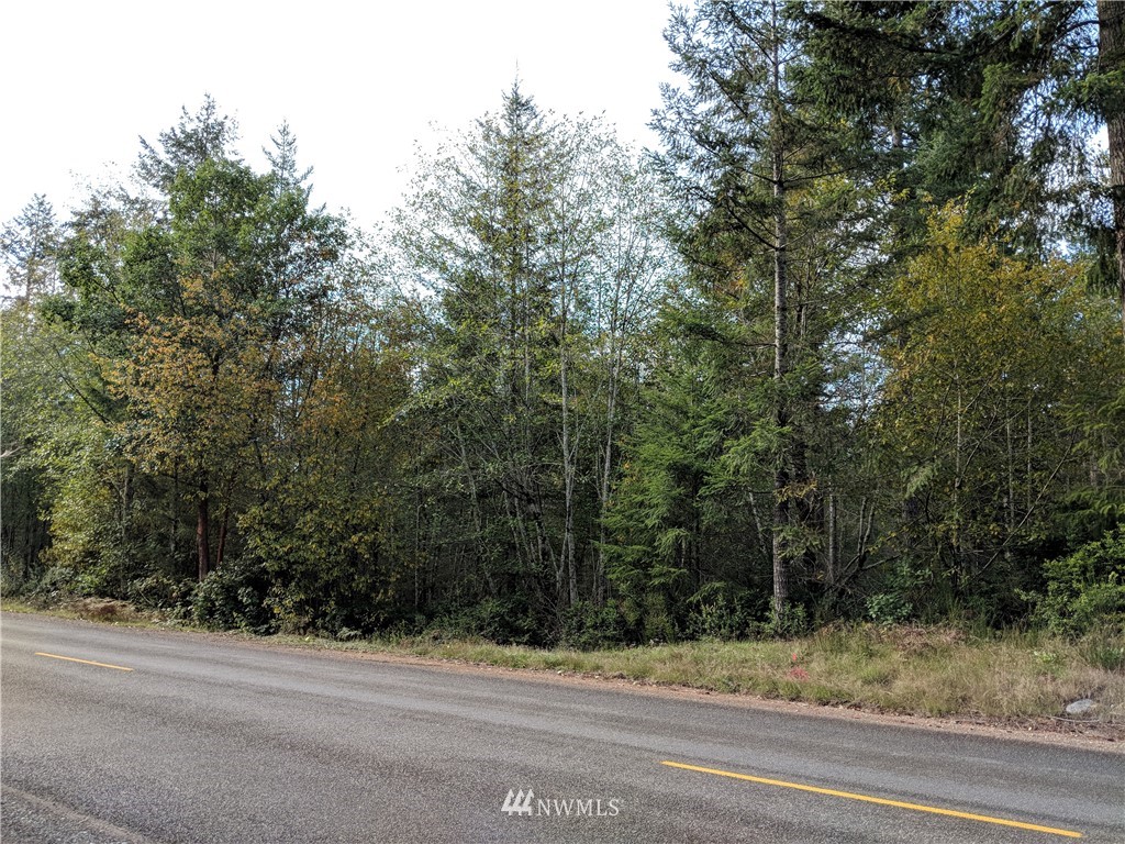 40-xx East Rasor Road Belfair, WA 98528 - Photo 6 of 15 Gallery Image 6