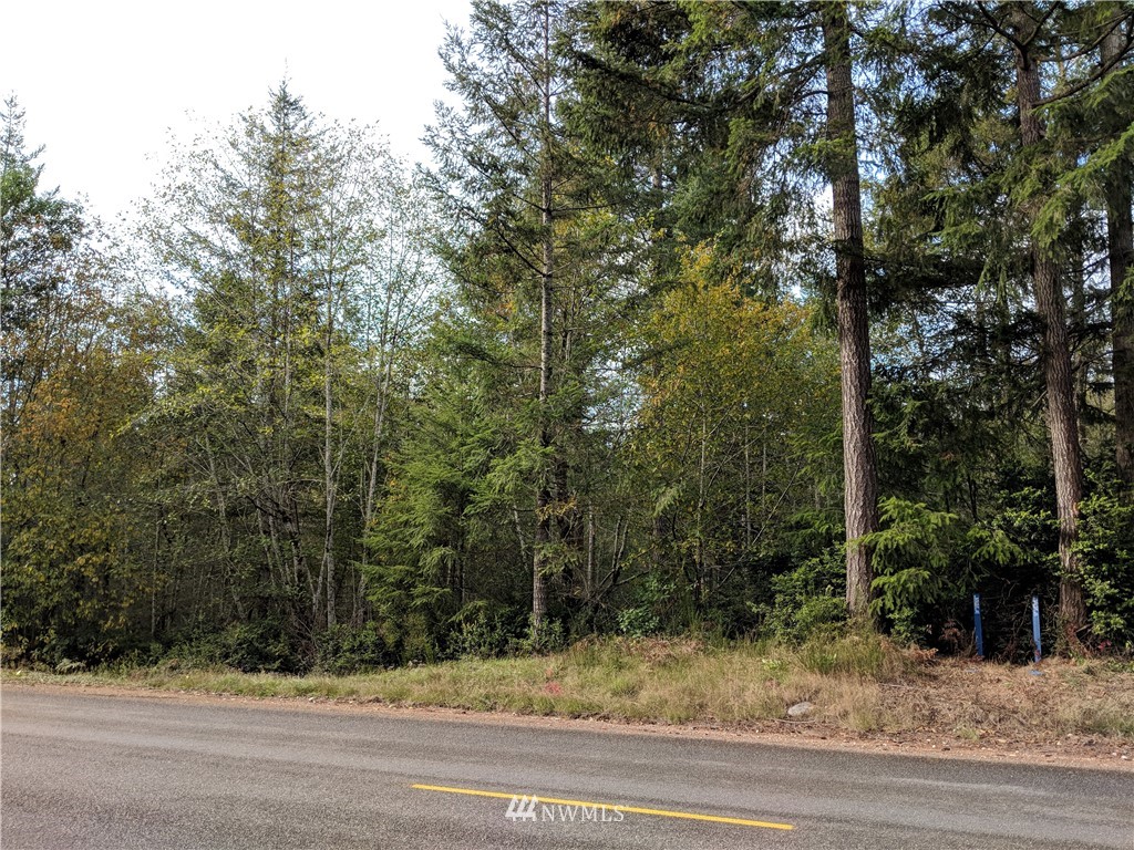 40-xx East Rasor Road Belfair, WA 98528 - Photo 7 of 15 Gallery Image 7